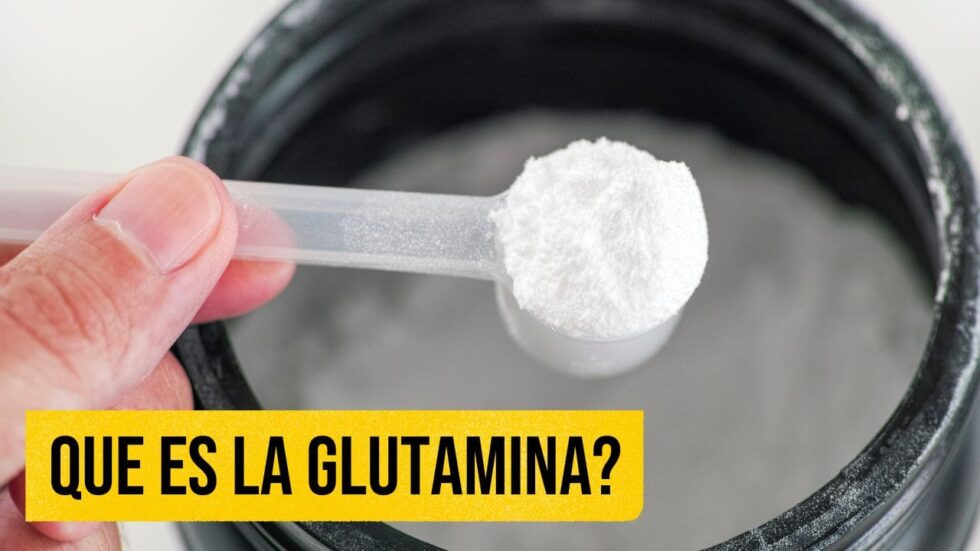 Que es la Glutamina | Glutamina para el Gimnasio | Glutamina en Suplemento
